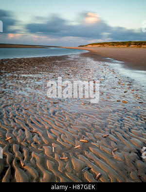 Süderdünen, Berlin. Deutschland. L'Allemagne. Une vue le long de la plage à marée basse à l'heure d'or. La douce chaleur du soleil se reflète sur l'eau dans le bassins peu profonds d'eau qui restent dans la structure profonde dans le soleil. La longue exposition provoque flou de mouvement dans les nuages en mouvement rapide. Brin couteaux jonchent la plage. Banque D'Images