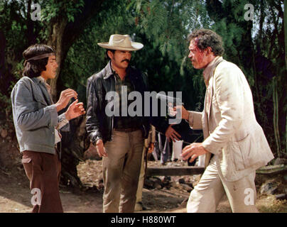 Mettre mir den Kopf von Alfredo Garcia, (apportez-MOI LA TÊTE D'ALFREDO GARCIA) USA 1974, Regie : Sam Peckinpah, WARREN OATES (re), Ausdruck : professionnel modèle Banque D'Images