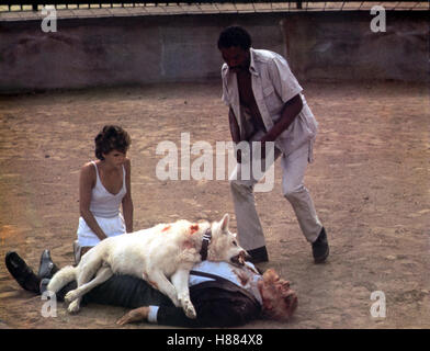 Der weiße Hund von Beverly Hills, (WHITE DOG) USA 1981, Regie : Samuel Fuller, Kristy McNICHOL, Burl Ives, PAUL WINFIELD, Ausdruck : Hund Banque D'Images