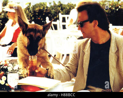 Mein Partner mit der loniten Schnauze, (K-9) USA 1988, Regie : Rod Daniel, James Belushi, Ausdruck : Schäferhund, Hund, Sonnenbrille Banque D'Images