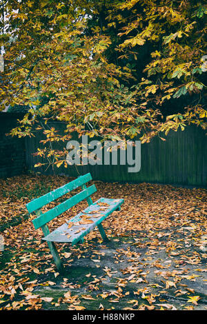 Banc en bois vide et diminué l'automne les feuilles des arbres. L'Oxfordshire, UK. Appliquer filtre vintage Banque D'Images