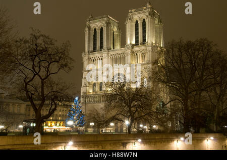 Arbre de Noël en face de la cathédrale Notre-Dame la nuit, Paris, France, Europe Banque D'Images