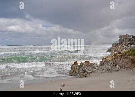 Afrique du Sud : océan houleux et météo sur la plage de Hermanus, une ville sur la côte sud d'Azur célèbre pour l'observation des baleines Banque D'Images