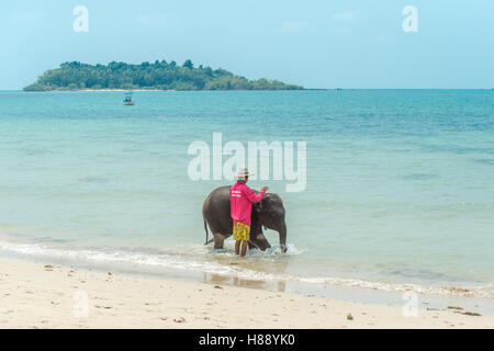 Bébé éléphant domestiqué utilisé comme une attraction touristique sur une plage à Koh Chang Banque D'Images