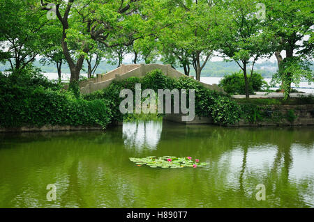 Un pont de pierre en arc au-dessus d'un petit étang dans le lac Taihu ou Tai région pittoresque de l'île Turtle à Wuxi Chine lors d'une journée ensoleillée Banque D'Images