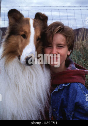 Lassie (LASSIE), USA 1994, Regie : Daniel J. Petrie, TOM GUIRY, Ausdruck : Hund, Collie Banque D'Images