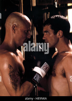 Éliminé - Eine Freundschaft, schlagkräftige (JOUER À L'OS) USA 1999, Regie : Ron Shelton, Woody Harrelson, Antonio Banderas, Ausdruck : Boxer, Boxhandschuh Glatze, Banque D'Images