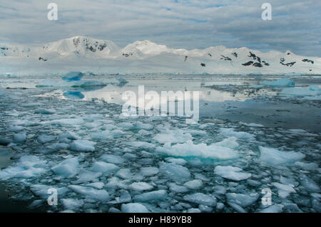 Montagnes et Brash, Neko Harbour, péninsule Antarctique, l'Antarctique Banque D'Images