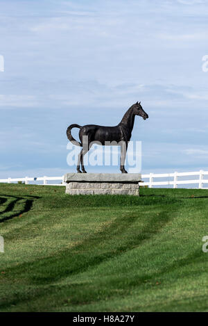 Pineland Farms Equestrian Center, New Gloucester, Maine, USA. Banque D'Images