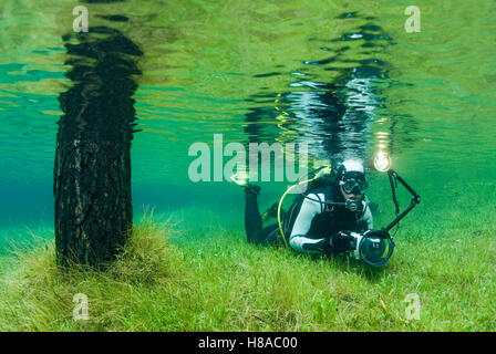 La plongée dans le lac vert Voir Gruener dans Tragoess, Steiermark, Oesterreich Banque D'Images