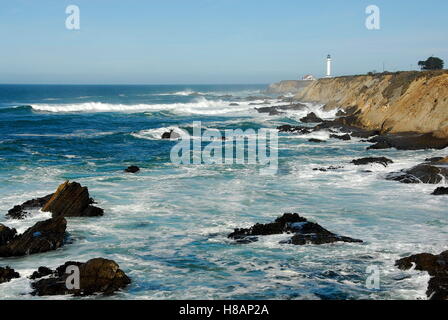 Point Arena Phare sur la côte de Mendocino, en Californie Banque D'Images