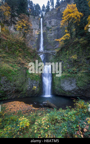 Chutes de Multnomah près de Portland en Oregon à l'automne Banque D'Images