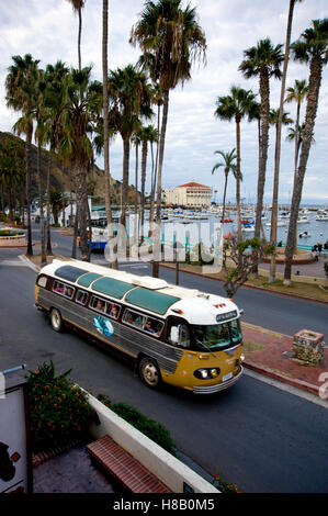 Conduite d'autobus classique des touristes sur l'île Catalina avec port et bâtiment Casino en arrière-plan Banque D'Images
