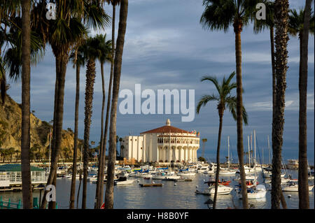 L'Avalon Ballroom / Casino sur l'île de Catalina, au large de la côte de Californie du Sud à l'aube Banque D'Images