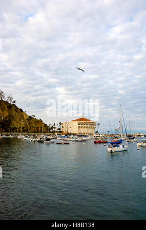 L'Avalon Ballroom / Casino sur l'île de Catalina, au large de la côte de Californie du Sud à l'aube Banque D'Images