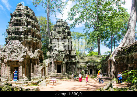 Ta Prohm, Angkor, Cambodge Banque D'Images