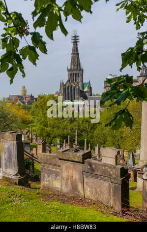 À l'égard de la cathédrale St Mungo's Glasgow de la Nécropole de l'Est Banque D'Images