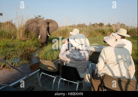 Les touristes du bateau bull elephant d'affichage Banque D'Images