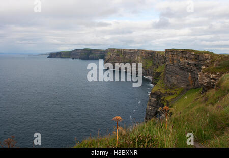 Vue du sud les magnifiques falaises de Moher, Co Clare dans l'ouest de l'Irlande Article 700 pieds de haut qui s'étend sur environ 5 kilomètres. Banque D'Images