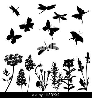 Silhouettes d'herbe, de libellules et de papillons noir et blanc isolé. Illustration de Vecteur