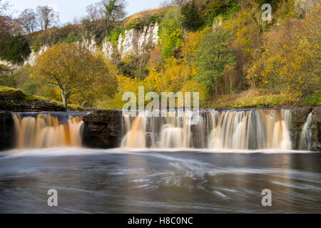 Le Wath Wain vigueur près de Keld dans Swaledale dans le Yorkshire Dales, North Yorkshire Angleterre UK Banque D'Images