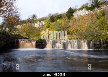 Le Wath Wain vigueur près de Keld dans Swaledale dans le Yorkshire Dales, North Yorkshire Angleterre UK Banque D'Images