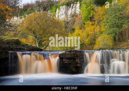 Le Wath Wain vigueur près de Keld dans Swaledale dans le Yorkshire Dales, North Yorkshire Angleterre UK Banque D'Images