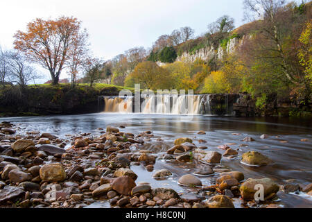 Le Wath Wain vigueur près de Keld dans Swaledale dans le Yorkshire Dales, North Yorkshire Angleterre UK Banque D'Images