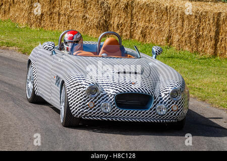 2016 Bristol Bullet V8 supercar Roadster sur la course au 2016 Goodwood Festival of Speed, Sussex, UK. Banque D'Images