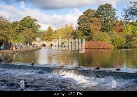 Weir sur la rivière Wye en passant par Bakewell, Derbyshire, Angleterre, RU Banque D'Images