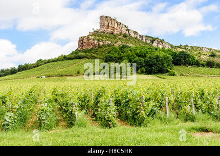 L'escarpement calcaire connu comme la roche de Solutré, dominant les vignobles de Solutré-Pouilly en Bourgogne du Sud, France Banque D'Images