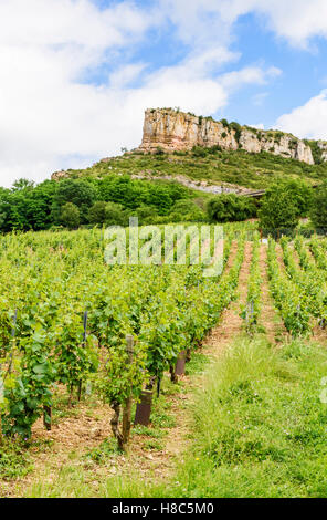 L'escarpement calcaire connu comme la roche de Solutré, dominant les vignobles de Solutré-Pouilly en Bourgogne du Sud, France Banque D'Images