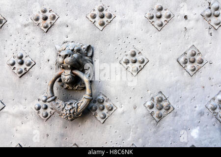 Détail d'une tête de lion heurtoir à Castell de Riudabella, Vimbodí, Tarragone, Espagne Banque D'Images