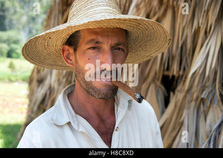 Portrait d'un agriculteur portant un chapeau de paille fumer un cigare avec le séchage du tabac de chaume maison dans l'arrière-plan Cuba Vinales Banque D'Images