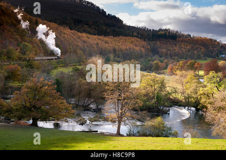 Rivière Dee à llangollen Denbighshire au nord du Pays de Galles. Couleurs d'automne et les feuilles des arbres. Horseshoe Falls. Banque D'Images