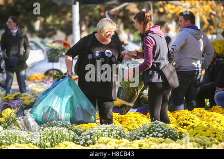 Une femme l'achat d'un arrangement de fleurs de la part du vendeur au cimetière à la Toussaint à Zagreb, Croatie. Banque D'Images