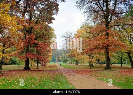 Couleurs d'automne dans la région de Windsor Great Park Comté UK Banque D'Images