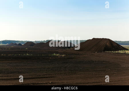 Extraction de tourbe Banque D'Images