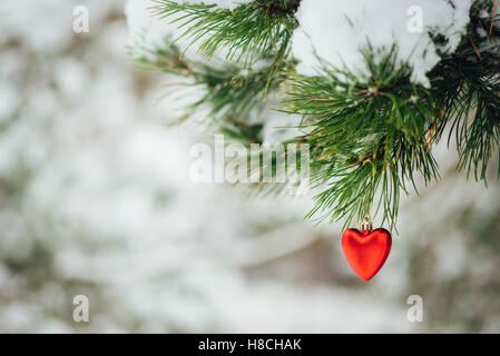 Carte avec coeur rouge décoration de Noël sur la neige avec la direction générale de pin Banque D'Images