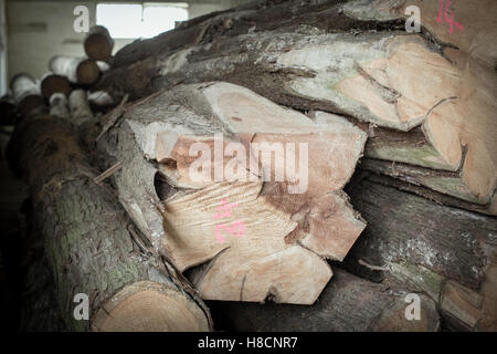 Neal Hathaway, menuisier et fabricant de meubles en bois, la création d'une planche de surf pour l'alésage du bras Severn. Banque D'Images