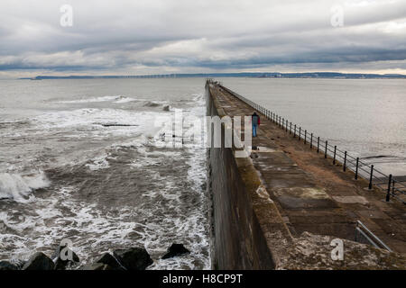 Un homme mûr promenait son chien le long du brise-lames à Hatlepool pointe sur la côte nord-est de l'Angleterre Banque D'Images