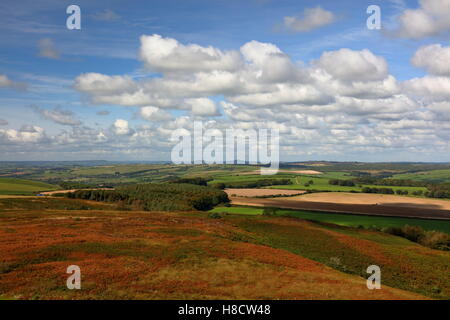 Paysage vue ouest du haut de Hardy's Monument sur la colline de Blackdown avec Devon lointain horizon et bonne cloudscape Banque D'Images
