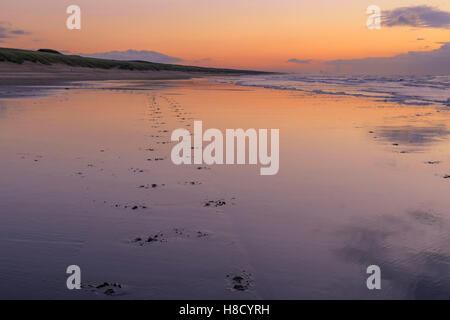 Coucher de soleil pastel réflexions avec des traces de pas dans le sable sur la plage de Katwijk aan Zee, Hollande méridionale, Pays-Bas. Banque D'Images