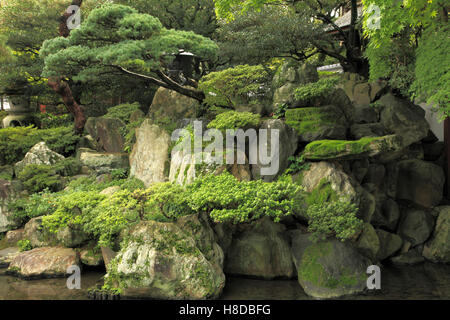 Le Japon, Kyoto, Imperial Palace, Jardin, Oikeniwa Banque D'Images