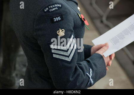 Burton-on-Trent, Royaume-Uni. Nov 11, 2016. Le Prince Harry a conduit le Royaume-Uni, la célébration du Jour de l'Armistice dans le Staffordshire. Son Altesse Royale a rejoint l'état-major des Forces armées, les familles, les anciens combattants et les membres du public à l'Arboretum de Service annuel de commémoration qui se tient dans les murs de l'Armée Memorial. Durant le service, le prince Harry lire le soldat, un sonnet sur la Première Guerre mondiale un soldat quitte la maison pour la bataille. Credit : Byron Kirk/Alamy Live News Banque D'Images