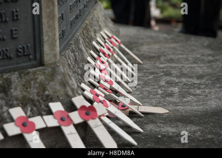 Brentwood, Essex, 11 novembre 2016, coquelicots le jour de l'Armistice à Brentwood, Essex Crédit : Ian Davidson/Alamy Live News Banque D'Images