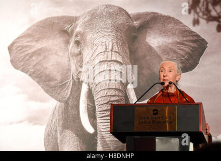 Hong Kong, Hong Kong S.A.R, la Chine. 10 Nov, 2016. L'écologiste britannique Dame Jane Goodall parle pour les invités au 'Hope' de la faune pour le dîner de gala à faire prendre conscience de la situation des animaux en voie de disparition dans le monde entier.10 Novembre 2016. Photo par Jayne Russell. © Jayne Russell/ZUMA/Alamy Fil Live News Banque D'Images