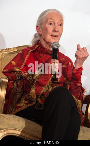 Hong Kong, Hong Kong S.A.R, la Chine. 10 Nov, 2016. L'écologiste britannique Dame Jane Goodall parle pour les invités au 'Hope' de la faune pour le dîner de gala à faire prendre conscience de la situation des animaux en voie de disparition dans le monde entier.10 Novembre 2016. Photo par Jayne Russell. © Jayne Russell/ZUMA/Alamy Fil Live News Banque D'Images