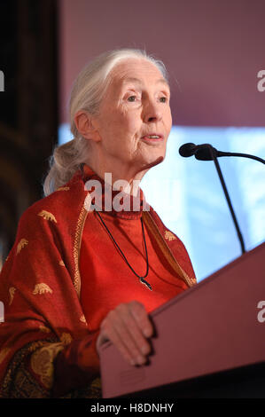 Hong Kong, Hong Kong S.A.R, la Chine. 10 Nov, 2016. L'écologiste britannique Dame Jane Goodall parle pour les invités au 'Hope' de la faune pour le dîner de gala à faire prendre conscience de la situation des animaux en voie de disparition dans le monde entier.10 Novembre 2016. Photo par Jayne Russell. © Jayne Russell/ZUMA/Alamy Fil Live News Banque D'Images