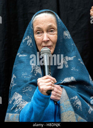 Hong Kong, Hong Kong S.A.R, la Chine. 10 Nov, 2016. Protecteur de Dame Dr Jane Goodall, dévoile une peinture murale réalisée par l'artiste local Adam Lo de son auto et d'animaux.''Murs de changement'' l'art de rue à Hong Kong a peint avant l'espoir pour le "Dîner de Gala" de la faune à faire prendre conscience de la situation des animaux en voie de disparition dans le monde entier.Sai Yin Pun Hong Kong.10 Novembre 2016. Photo par Jayne Russell. © Jayne Russell/ZUMA/Alamy Fil Live News Banque D'Images